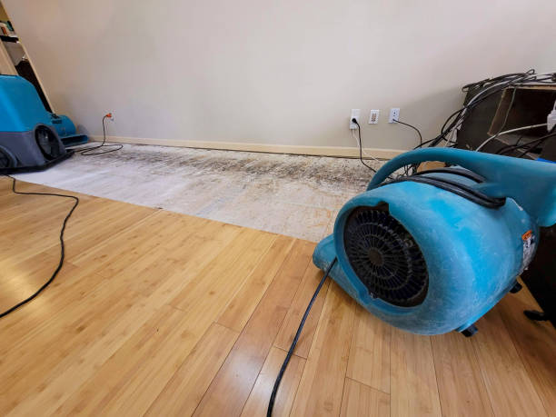 Professional Emergency Water Damage technician working in Milton, LA